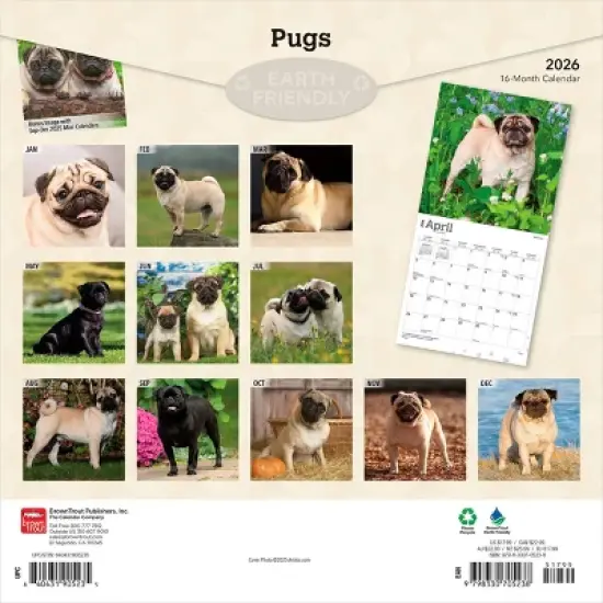 BrownTrout Pugs 2026 12"x24" Hanging Square Wall Calendar Plastic-Free image {1}
