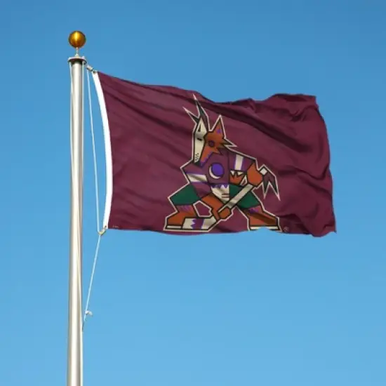 3' x 5' NHL Arizona Coyotes Deluxe Flag image {2}