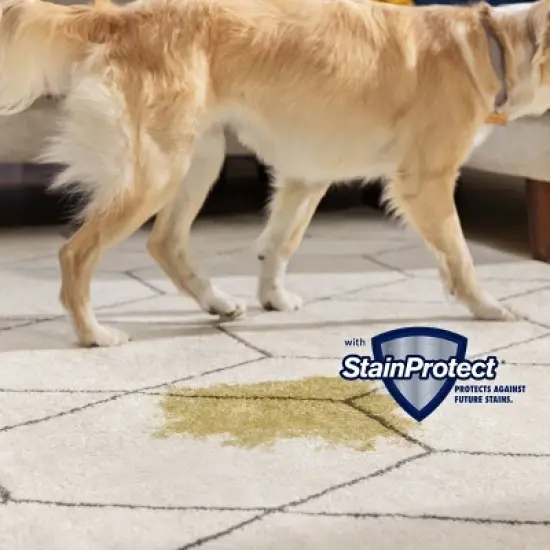 Bissell Little Green Pet Pro Portable Carpet Cleaner 3908 image {5}