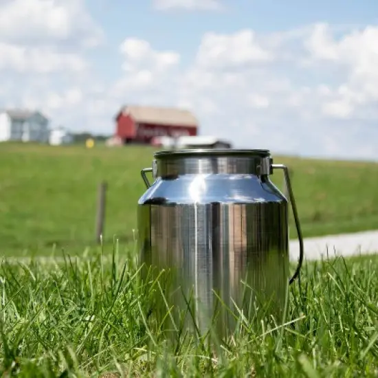 Lehman's Small Stainless Steel Milk Can, Seamless Solid Bail, 10 inches high, 1.3 Gallon image {2}