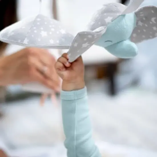 aden + anais Play+Discover Activity Gym image {4}