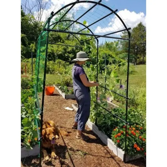 Gardener&rsquo;s Supply Company Extra Tall Garden Arch Arbor 80in Titan Squash Tunnel | Lightweight Metal Garden Arch Trellis Plant Stand for Climbing Vines image {3}