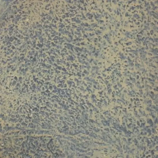 Sunnydaze 27"H Electric Polystone Seaside Outdoor Wall-Mount Water Fountain image {3}