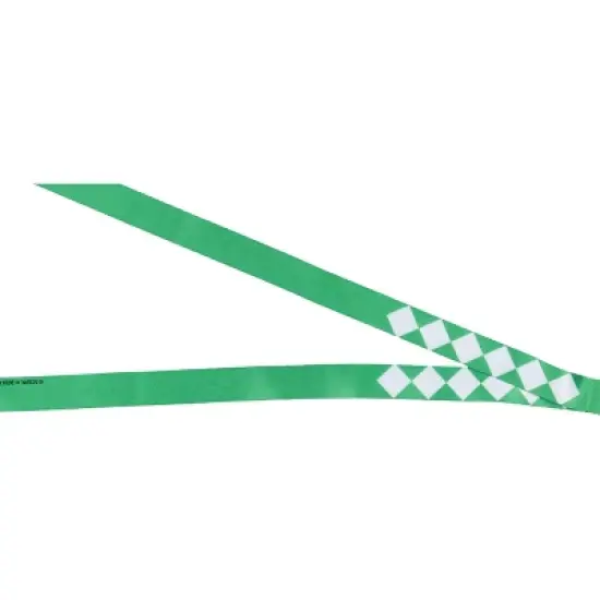 Power Rangers Green Ranger ID Lanyard Badge Holder w Dragonzord Rubber Pendant image {3}