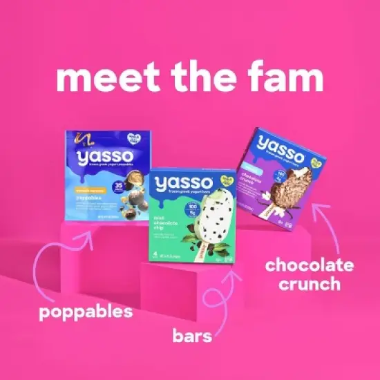 Yasso Frozen Greek Yogurt Cherry Chocolate Crunch - 10.6 fl oz/4ct image {9}