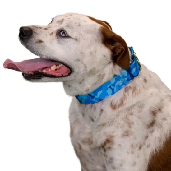 Country Brook Petz 1 1/2 Inch Blue Bone Camo Martingale Dog Collar image {2}