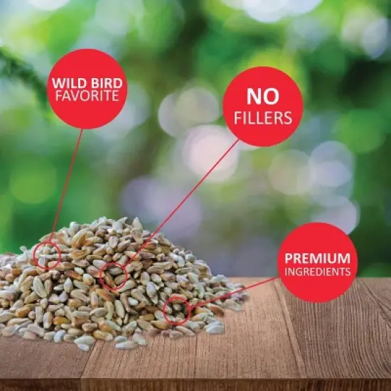Lyric Golden Safflower Bird Seed for Outside Feeders - Attracts Cardinals, Chickadees, Woodpeckers & More, 5 lb Bag image {2}