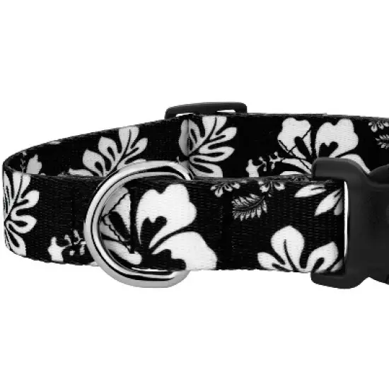 Country Brook Petz Black Hawaiian Deluxe Dog Collar and Leash image {5}