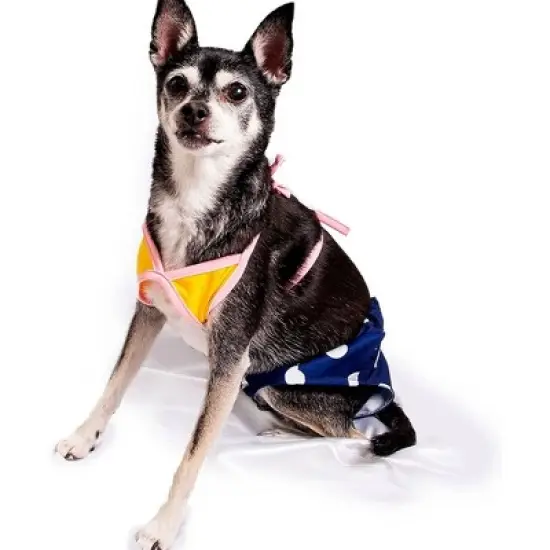 Midlee Yellow & Blue Polka Dot Dog Bikini (4XL) image {2}