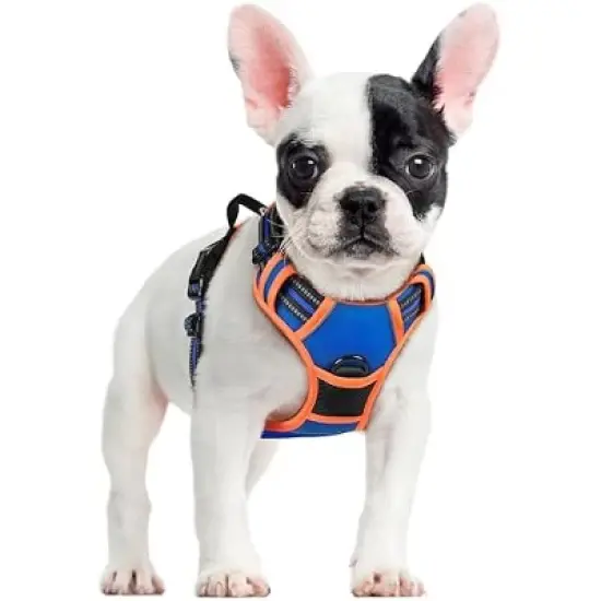 rabbitgoo Dog Harness No Pull with 2 Leash Clips, Control Handle for Small Dogs, Blue & Orange, S image {1}