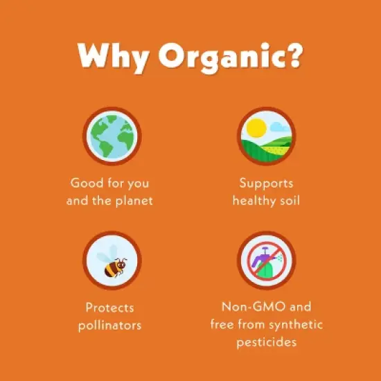 Once Upon a Farm Coconut Melts Mango Baby Snacks - 1oz image {7}