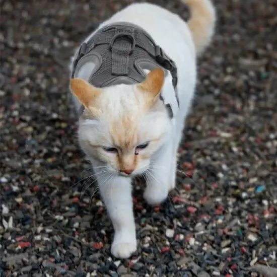 Unique Bargains Cat Harness and Leash with Reflective Strips Small Gray 1 Set image {5}