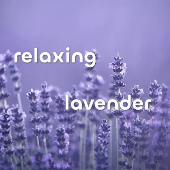 The Seaweed Bath Co. Hydrating Soothing Body Cream - Lavender - 6 fl oz image {7}