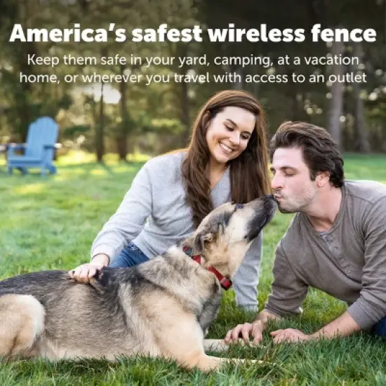 PetSafe Stubborn Dog Stay and Play Adjustable Wireless Fence Receiver Collar - Black image {4}