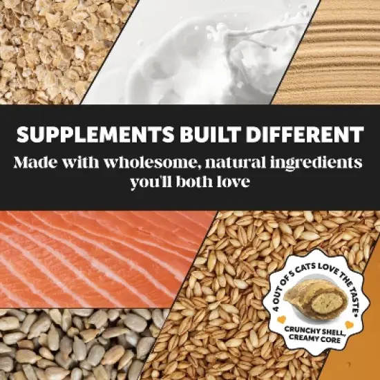 Pet Honesty Immune Support Lysine for Cat Chicken - 4oz image {6}