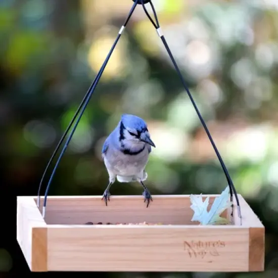 Nature's Way Cedar Tray Bird Feeder: Weather-Resistant Wood, No Assembly, 12x12 Hanging Design image {1}
