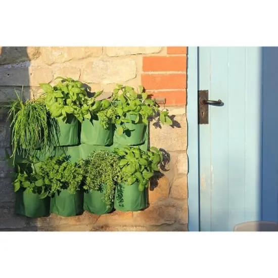 Tierra Garden Herb Wall Planter image {2}