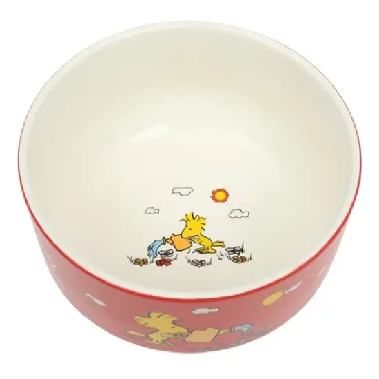 Peanuts Snoopy 6 Pack Stackable 5.5" Decorated Stoneware Bowl Set W/ Plate image {6}