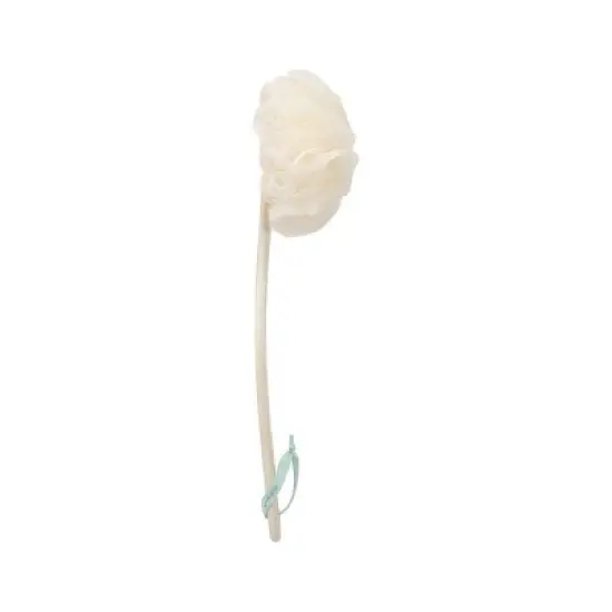 EcoTools EcoPouf Bath Brush image {5}