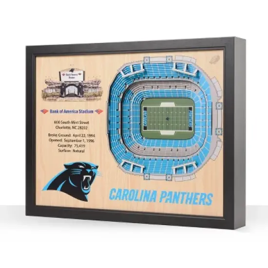 NFL Carolina Panthers 25-Layer StadiumViews 3D Wall Art image {5}