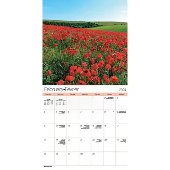 Trends International Inc. 2023-24 Wall Calendar 12"x12" Nature's Bouquet Bilingual English/French image {2}