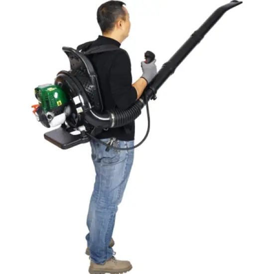 Dexmalle 4-STROKE BACKPACK LEAF BLOWER image {1}