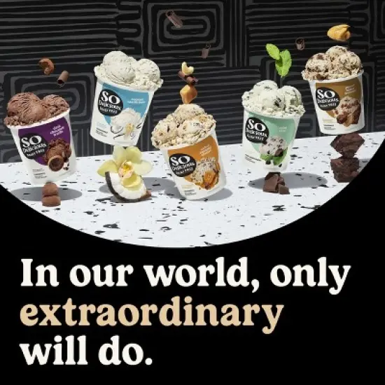 So Delicious Chocolate Cookies 'N' Cream Cashew Milk Non-Dairy Frozen Dessert - 1pt image {5}