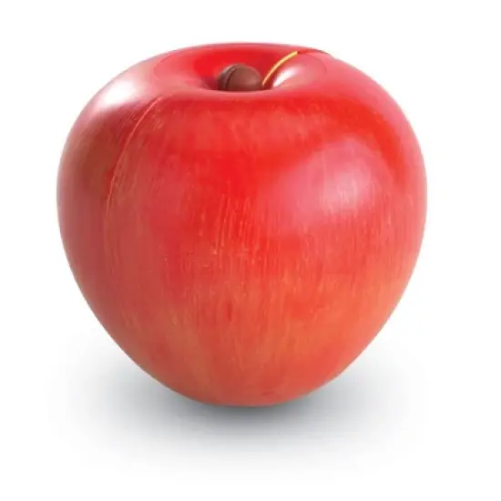 Learning Resources Magnetic Apple Fractions, Grades K+ image {3}