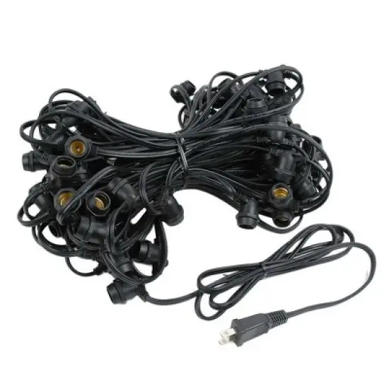 Novelty Lights Globe Outdoor String Lights with 80 In-Line Sockets Black Wire 100 Feet image {2}
