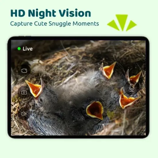 Birdfy Smart Bird House for Outside, Solar Powered, 1080P HD Live View, Bird House with Camera, Perfect Viewing of Bird Nesting and Hatching image {3}