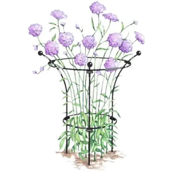 Gardener's Supply Company Essex Plant Support | Sturdy Metal Plants Support Frame For Peonies, Rose Ornamental Flower Garden Cage | Natural Bouquet image {1}