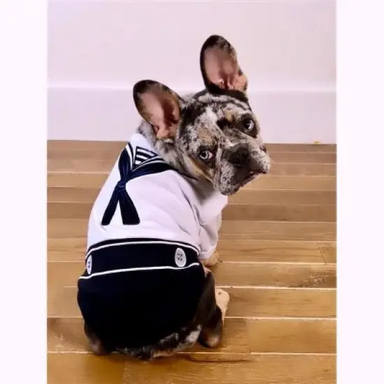 Parisian Pet 'Sailor Dog' Halloween Costume - Navy Blue Sailor Outfit for Dogs & Cats image {4}