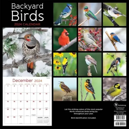 TF Publishing 2024 Wall Calendar 12"x12" Backyard Birds image {4}