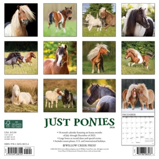 Willow Creek Press 2024 Wall Calendar 12"x12" Ponies image {1}
