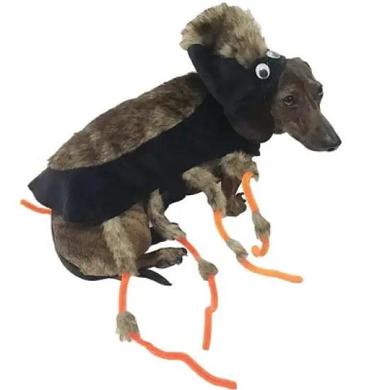 Midlee Scary Spider Costume image {2}