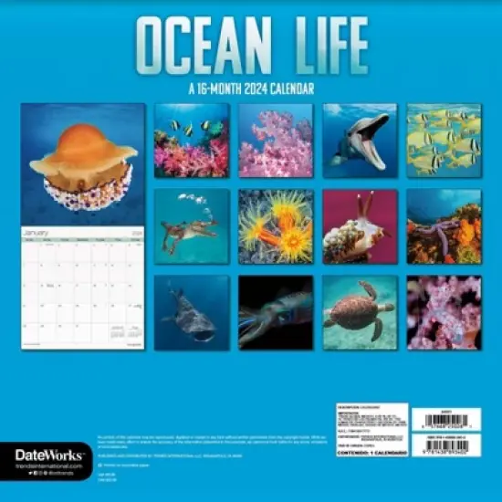 Trends International Inc. 2023-24 Wall Calendar 12"x12" Ocean Life image {3}