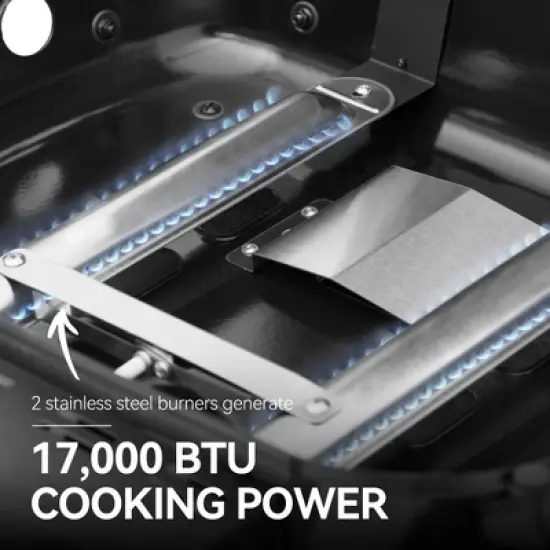 RoyalGourmet 2-Burner Portable Propane Gas Grill Tabletop Gas Grill GT2005TG Black image {6}