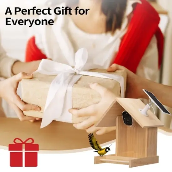 Sandinrayli Smart Bird Feeder with Camera, 1080P HD AI Identify Bird Watching Camera image {10}