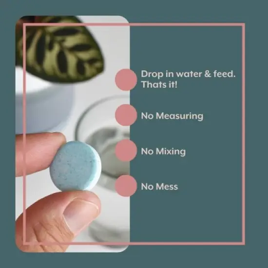 Instant Plant Food 3 pc 16 oz Watering Can & Fertilizer Houseplant Grow Kit: Durable, Leakproof, for Indoor Gardening image {3}