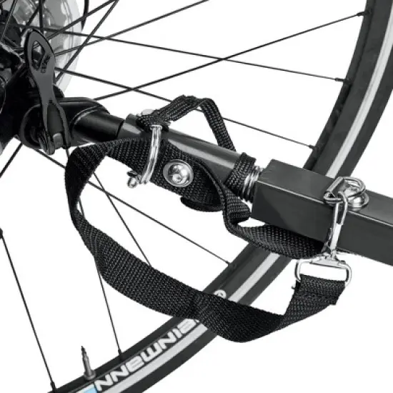 ALLEN Deluxe Child Bike Trailer image {4}