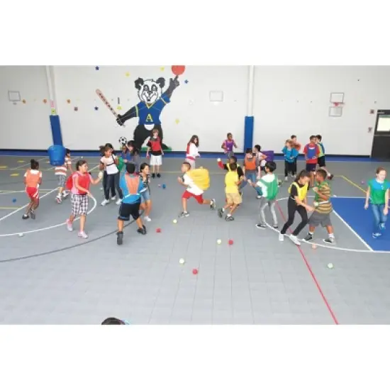 Sportime 6-Team Pursuit Ball Game, Set of 6 Goals and 72 Balls image {3}