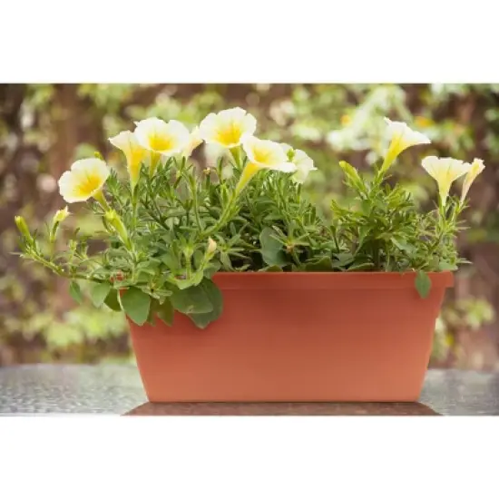 Sonoma Railing Planter - Southern Patio image {2}