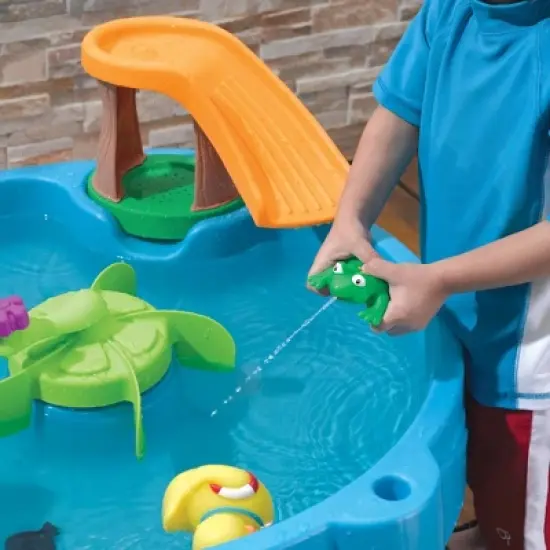 Step2 Duck Pond Water Table image {6}