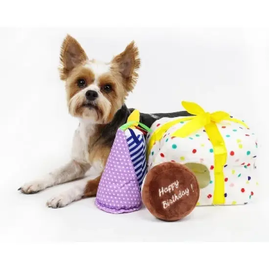 Midlee Birthday Present Find a Toy Dog Toy image {1}