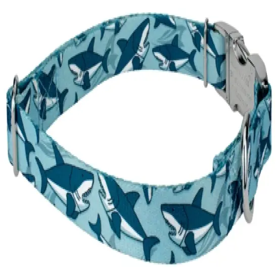 Country Brook Petz Premium Sharks Dog Collar image {3}