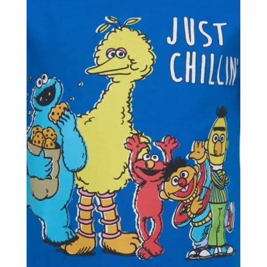 Sesame Street Bert and Ernie Oscar the Grouch Big Bird 4 Pack T-Shirts Toddler  image {7}