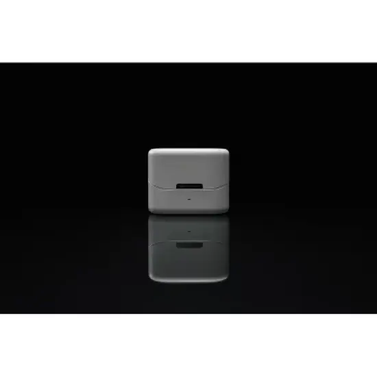 Zepp Omni Hearing Aids (Gray) image {3}