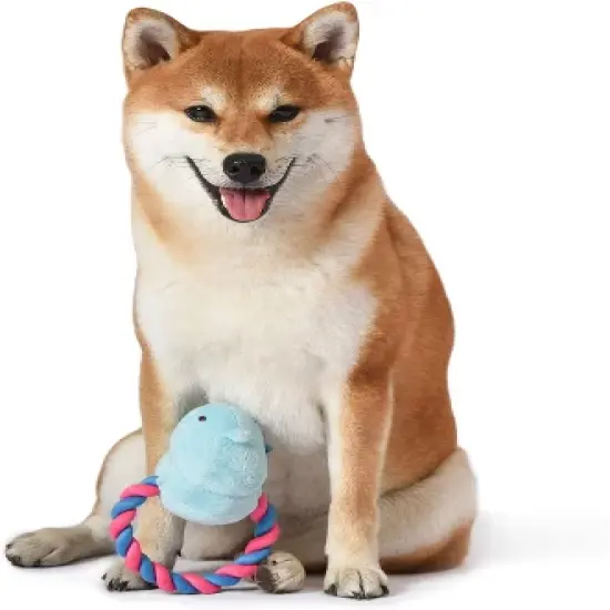Peeps Squeaky Rope Dog Toys (Blue Chick) image {3}
