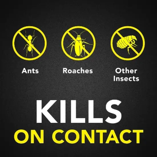 Raid Ant and Roach Killer Bug Spray - Lavender Scent - 17.5oz image {1}