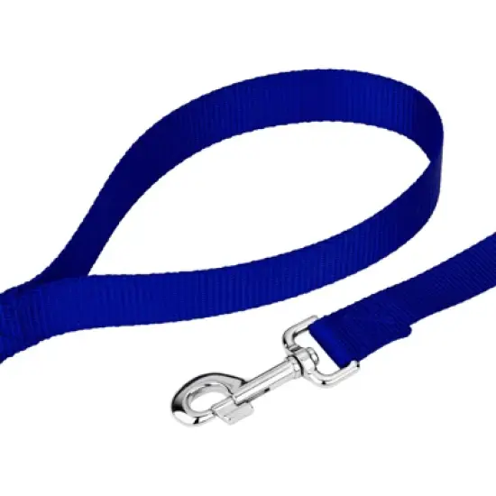 Country Brook Petz 3/4 Inch Nylon Dog Leash image {4}